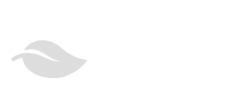 Logo - Silverleaf Management Group